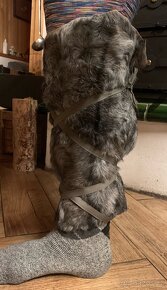 Kožešinové návleky Viking Larp - 4