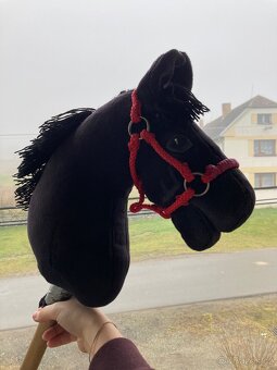 Hobby horse - 4
