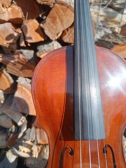 Housle Prokop očkový javor - 4