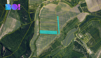 Prodej pole, 58660 m², Jestřabice - 4