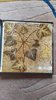 Nové básnické sbírky na vinylu - 4