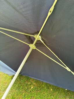 Velký slunečník - 4