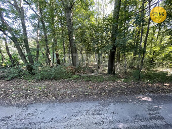 Prodej lesa, 9.789 m2, Hnojník, 133518 - 4