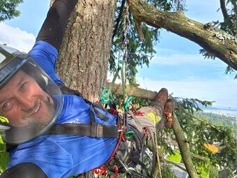 Stromolezec, arborista, udrzby zelene - 4