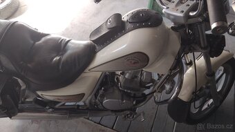 Chopper Hyosung 125cm - 4