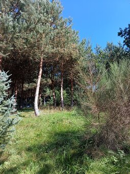 Prodej pozemku - 4
