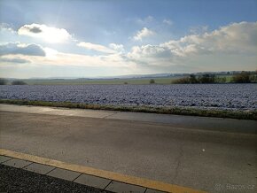 Prodej komerčního pozemku v průmyslové zóně, Mohelnice - 4