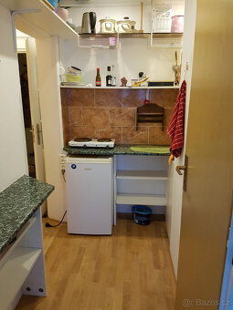 Pronájem bytu (20 m²) vedle metra Luka (5 minut pěšky). Byt - 4