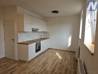 Pronájem bytu 1+kk, 29 m2, Jeronýmova, Husinec - 4
