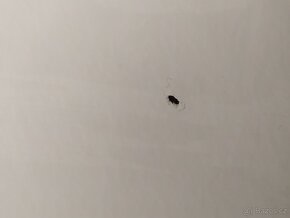 Vana smaltovaná 170x70 Kaldewei - 4