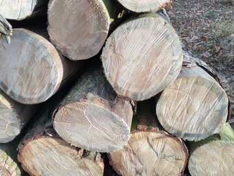 Palivové dřevo - 4