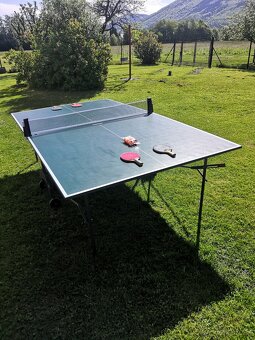 Ping pong - 4