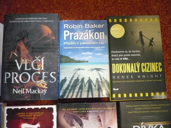 10 různých thrillerů a detektivek - 4