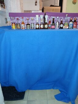 Sbírka lahviček  s alkoholem - 4