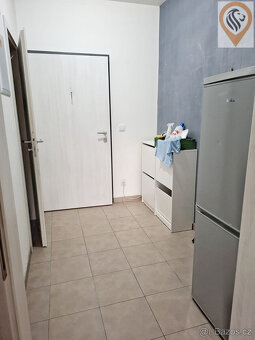 Pronájem bytu 1+kk ,45m2, Praha -Letňany - 4