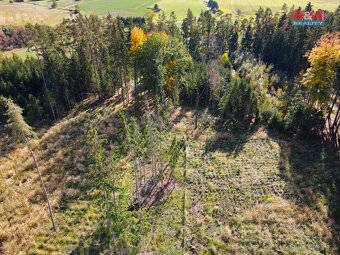 Prodej lesa, 2678 m², Chotěmice - 4