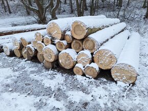 Palivové dřevo sypané, rovnané, tvrdé, měkké - 4