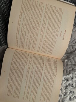 Buď tady a teď : pamatuj - 4