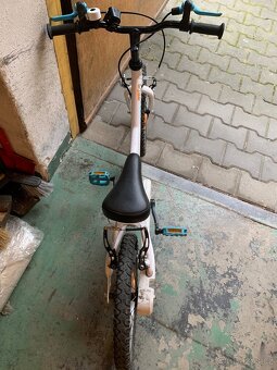 B twin Inuit 100 - 4