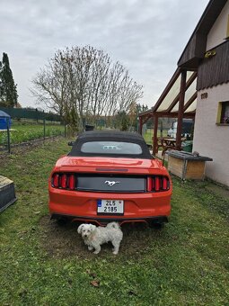 Ford mustang ecobost convertible cabrio - 4
