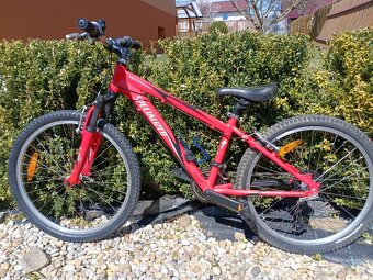 Dětské kolo Specialized Hotrock velikost 24" - 4
