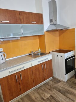 Pronájem bytu 30 m² Vychodilova Brno - Žabovřesky - 4