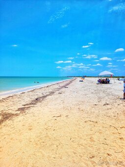 Na zimu do Karibiku,apartman u vody, Yucatan, cesky majitel - 4