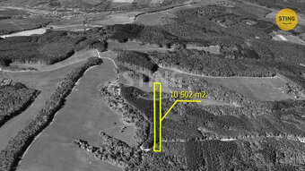 Prodej lesa 10502m2, 132353 - 4