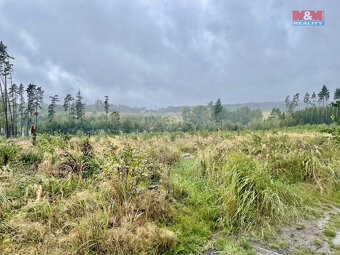 Prodej lesa, 26489 m², Častrov - 4