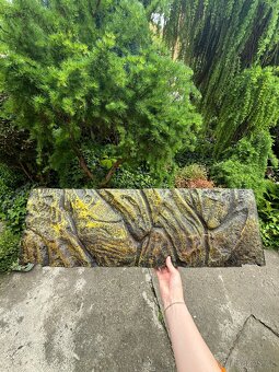 Terárium 92x47,5 cm - 4