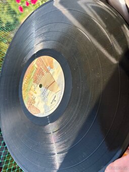 Thin Lizzy — Fighting. LP - 4