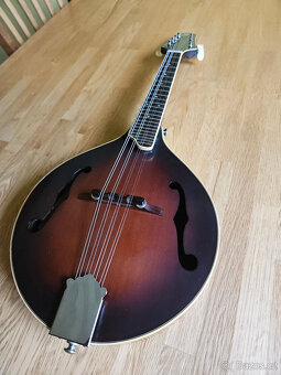 Celomasivní mandolína FURCH Ma-2 typ A - 4