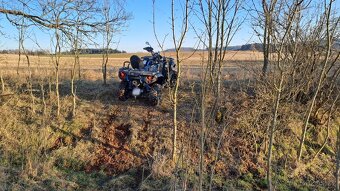 TGB BLADE 600i LTX EPS 4X4 - 4