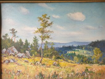 OBRAZ - František Motyčka - 4