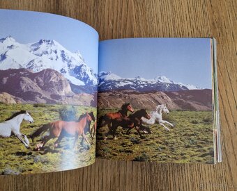 Horses (CubeBook, 2010) - 4