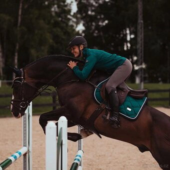 Equestrian Stockholm Emerald VS - 4