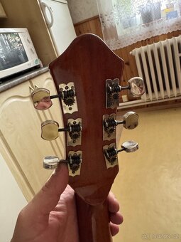 Banjo Mustang - 4