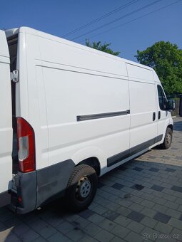 boxer - 4