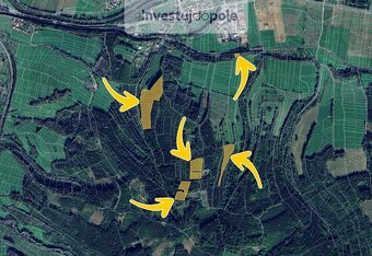 Prodej lesa 41 447 m², Janová, ev.č. 2025-07-03-2 - 4