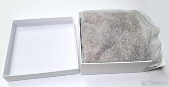 Sběratelská mince vyrobená z meteoritu Muonionalusta - 4