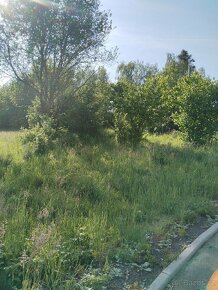 pronajem zahrady P R O N A J A T O volne 2/2026 - 4