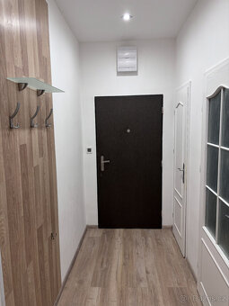 Pronájem světlého 1+kk u městského parku - Nový Bohumín - 4