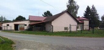 Nabídka ustájení koní JK Danty Polanka 7000,- - 4