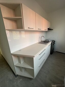 Pronájem bytu 2+1 L 55m2 v Bílině - 4