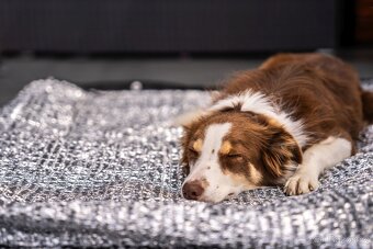 Nová stínící plachta 85% stříbrná - více rozměrů - 4