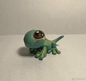 LPS (ještěrka, chinchilla) - 4