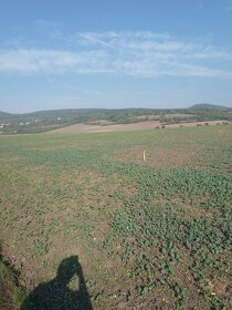 Úrodné pole; orná půda, Jenčice, okr. Litoměřice. - 4