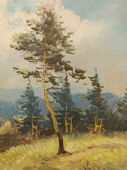 Obraz Vítězslav Fleissig, Sosna u Vltavy, olej 34x44 - 4