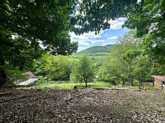 Zahrada 1.636 m2, Koštov-Trmice-Ústí n/L - 4