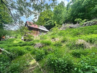 Zahrada 1.636 m2, Koštov-Trmice-Ústí n/L - 4